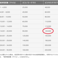 特典航空券で世界一周を検討したものの