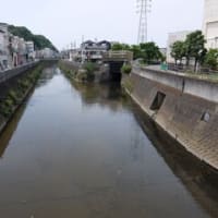 2024神奈川河川ﾎﾟﾀﾘﾝｸﾞ『矢上川』⑤「上野川橋」～第三京浜～江川と合流