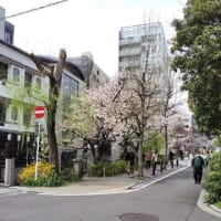 値踏みされる私