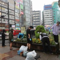 〇6/10　環境の緑化と美化報告報告　　雨の中花植え