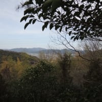 操山　　里山センター→ふれあいの辻→沢田裏山古墳→二股古墳→金蔵山古墳→石鉄山古墳　①　2016.02.22　　「262」