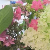 シニアフィットネスー１４日