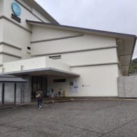 本日は観光です！
