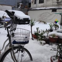 明るく前に前に