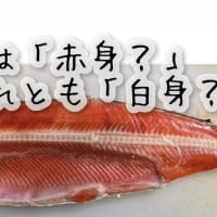 鮭は「赤身？」それとも「白身？」