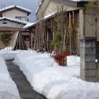冬の庭（２）　１２月の大雪