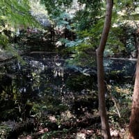 滄浪泉園（そうろうせんえん）へ
