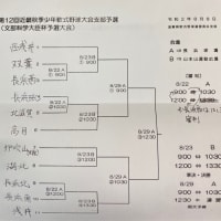 新チーム　軟連　近畿秋季少年大会文科杯予選トーナメント