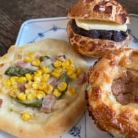 リムパーザ卒業338日目　久しぶりに📱