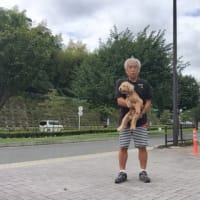 哀慕追遠（あいぼついえん）