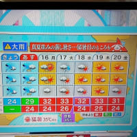 明日のツーリングは中止～～～です。
