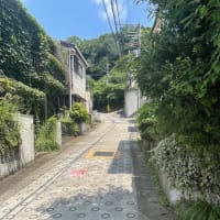 川崎市岡上付近の急坂を巡る②〜斜度42°はすごい