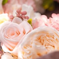 三津田さんの物語22～「老婚はいやよ」