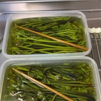 田舎遊び・・・！