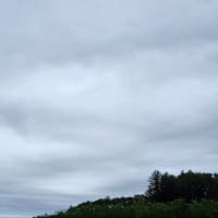 朝空