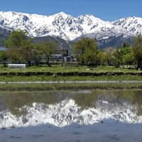 水鏡の北アルプスを探す旅。。。
