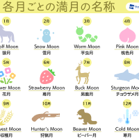 弥生の空に満月ぷかり♪