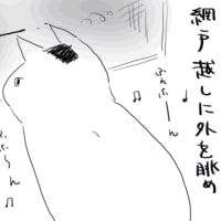 画像の整理