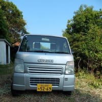 スズキ・キャリイ　２００２年　４WD　シルバー