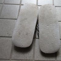 夏にはピタリ～85