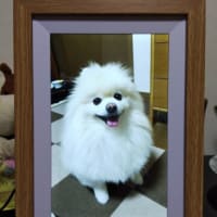 少しずつ、ゆっくりと