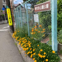 永山園公園4/17.4/24作業しました。