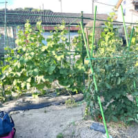 6月30日（月）③