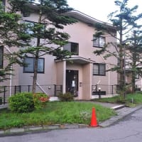 墓参へ