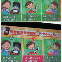 腸活シン常識