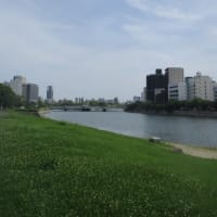 広島の街のリバーサイドをテクテク散歩・・・川面を吹く風が心地よいです　川岸には遊歩道が整されています