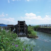 今年も菱野の三連水車へ