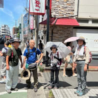 6月のハイキング