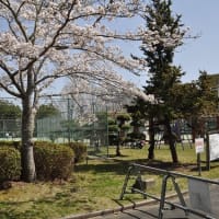 亀岡市テニス協会　創立４５周年