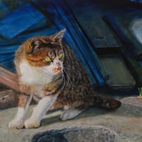 「漁港の猫」油彩画　Ｆ１０／伊達市／噴火湾