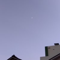2025/07/02(水)　公園の神社