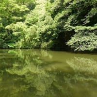 高松の栗林公園