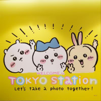 8月は