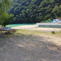 今週は大阪・岡山・移動にて沖縄！