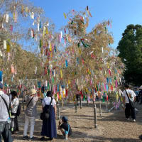 何十年ぶりかの機物神社の七夕祭り
