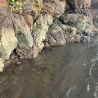 村でのダンスと火おこしショー＆温泉