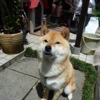 今日の予定