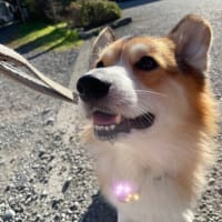 入院していました