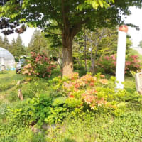 警視庁が作った冤罪事件、税金で裁判継続は「許されない」大川原化工機の弁護団が署名スタート