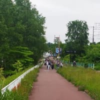 法事とアクティブレストとメディヒール　令和7年6月11日（水）　