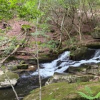 るり渓
