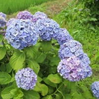 風邪ひいたかな？