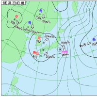 昨日は夏の青空だった東京…(*´∇｀*)　今日は台風の影響でどんより曇り…