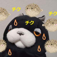チクチクする～