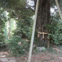 湫尾神社
