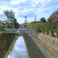 奈良県奈良市西ノ京町の風景